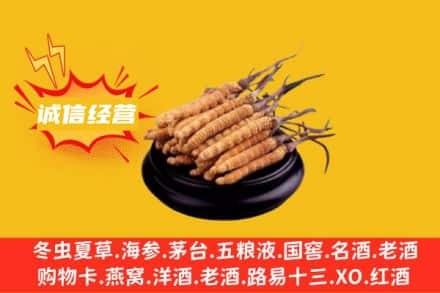 广元旺苍县回收冬虫夏草
